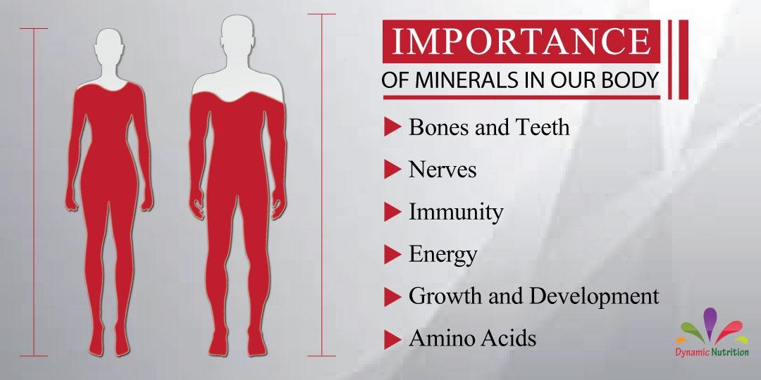Importance of Macro Minerals in Our Body Dynamic Nutrition