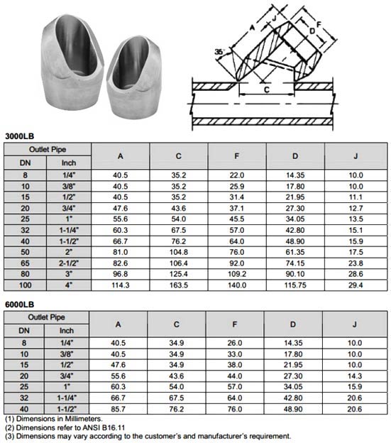 Socket Weld Lateral Outlet Dynamic & Fittings