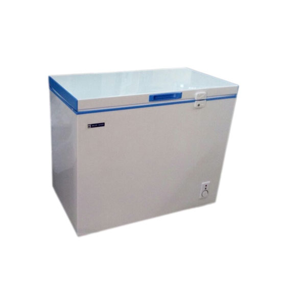 Blue Star 200 liter deep freezer Dynamic Mart