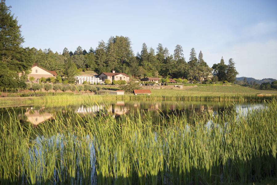 FloraSprings Dynamic Napa Wine Tours