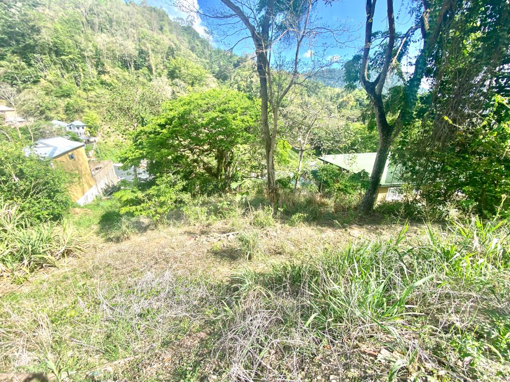 Moka Maraval Land For Sale The Orchard