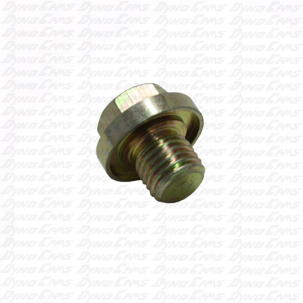 Racing Cams and Parts Carburetor Bowl Screw, Clone 196, Ducar 212