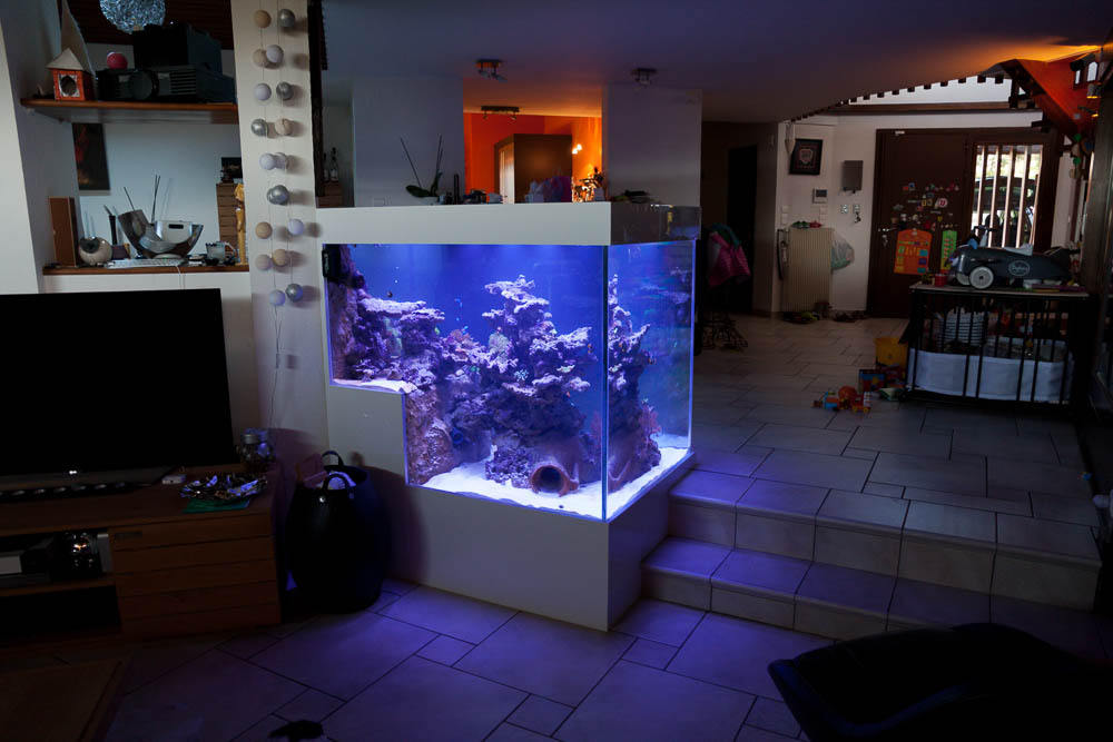 Aquarium récifal de 2500 litres E.A.S. Endlersman