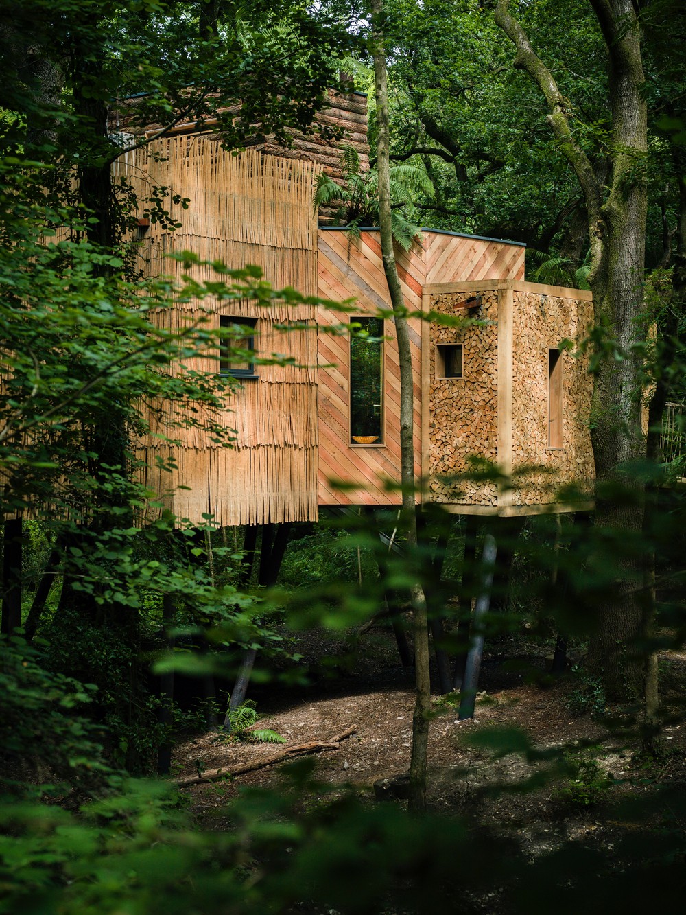Woodsman’s Treehouse West Dorset earchitect