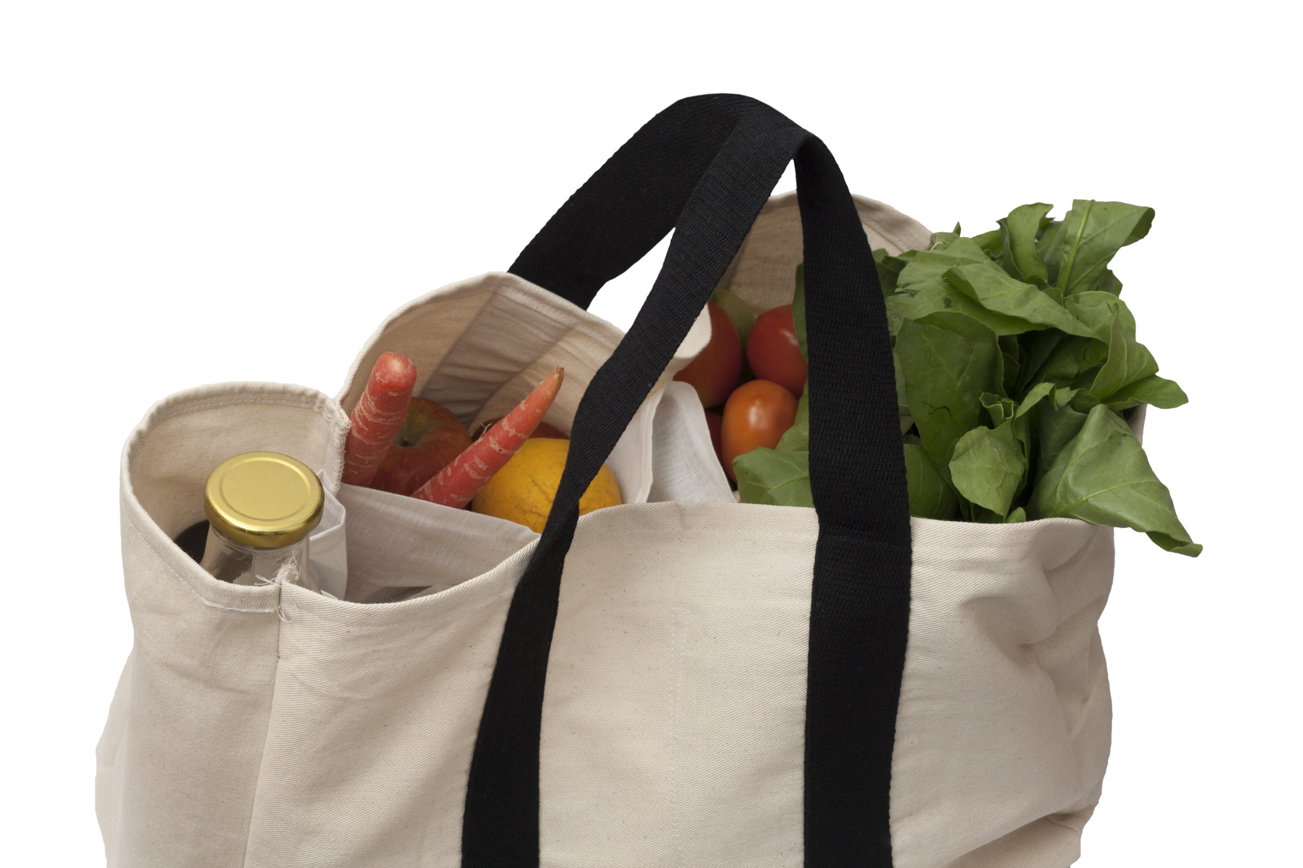 Canvas Grocery Shopping Bag eCoexist