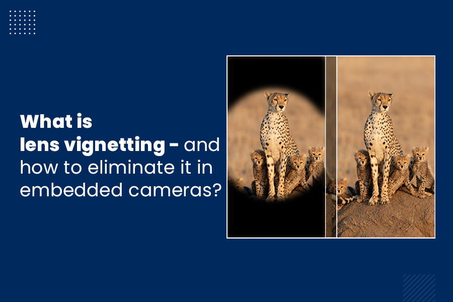 What is lens and how to eliminate it in embedded cameras