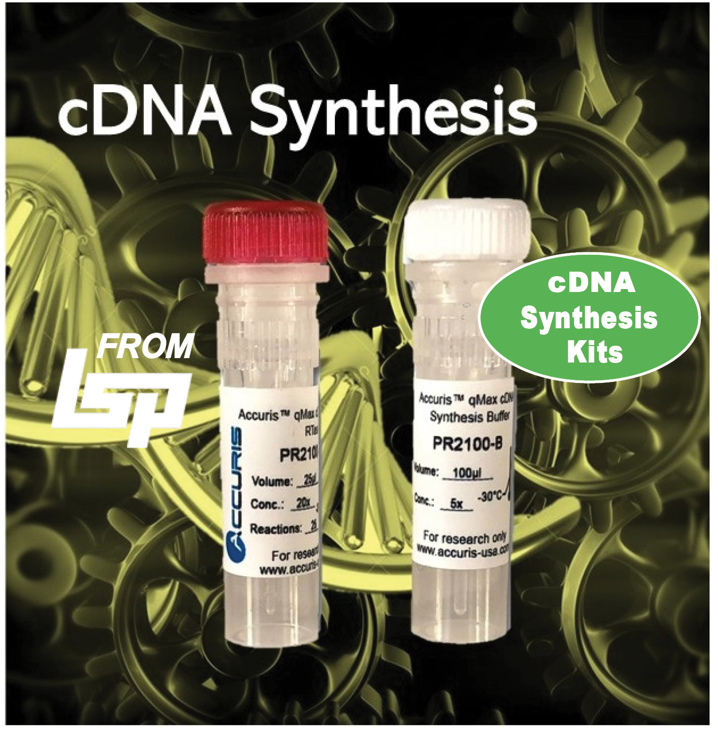 Accuris USA qMax cDNA Reserve Trasnscription DNA Synthesis Kit. Life