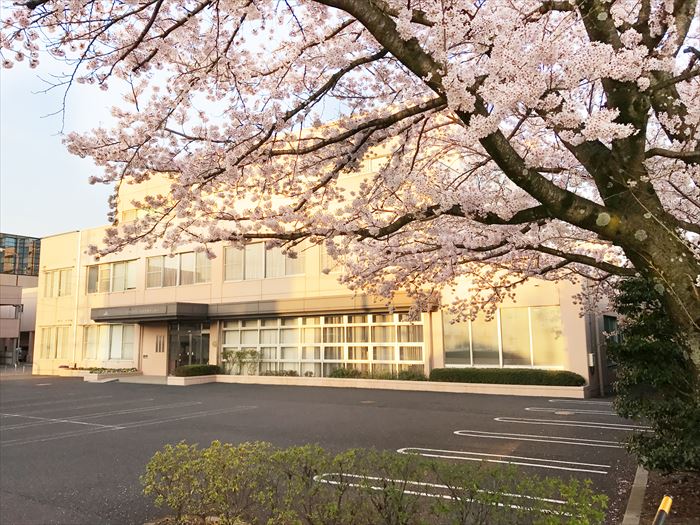6+ 岐阜 健康 管理 センター For You