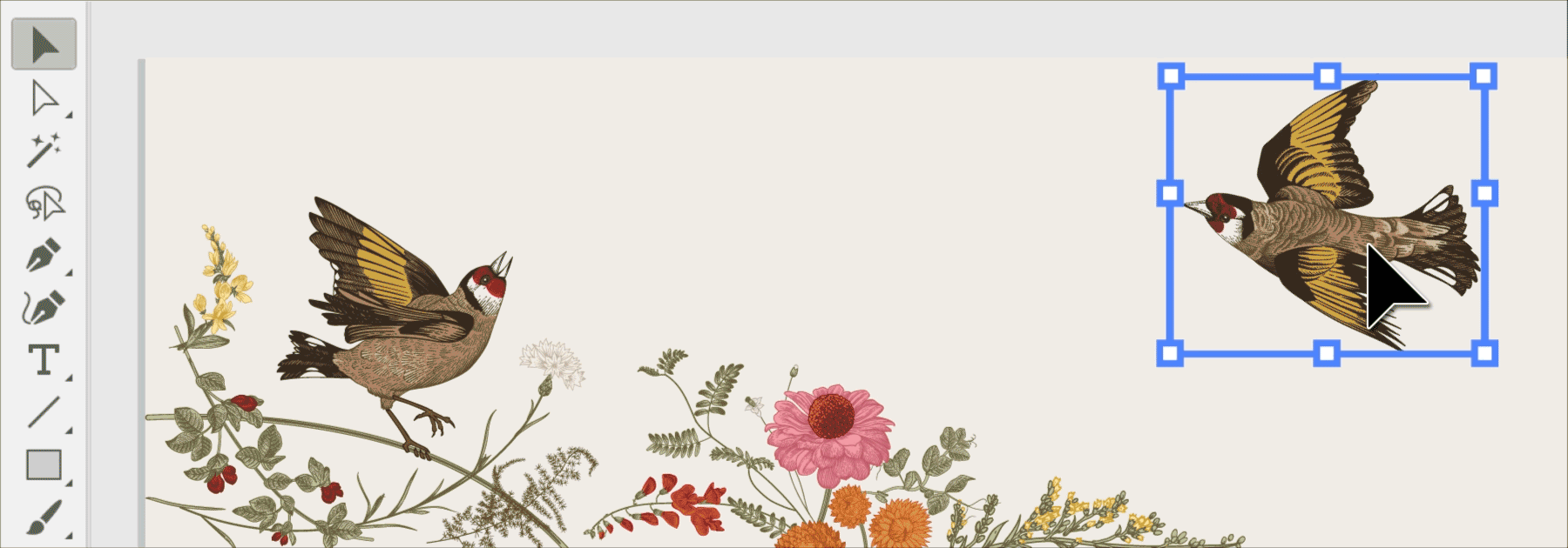 Adobe Illustrator ESPIN Group