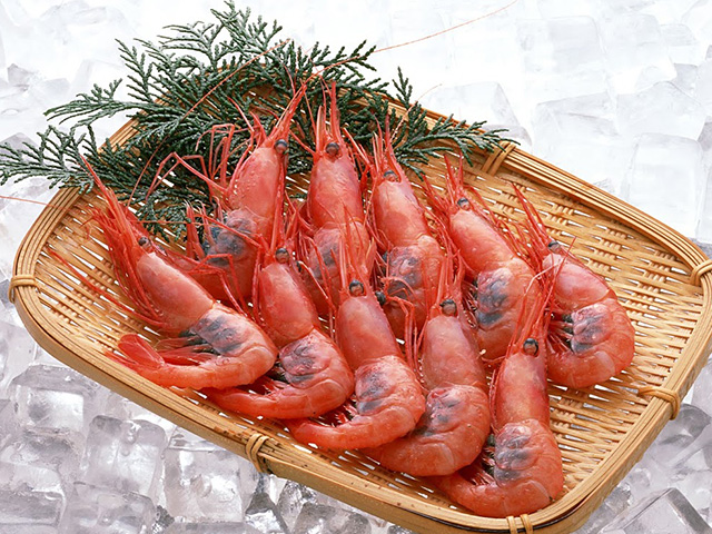 日本海 魚正 全商品一覧