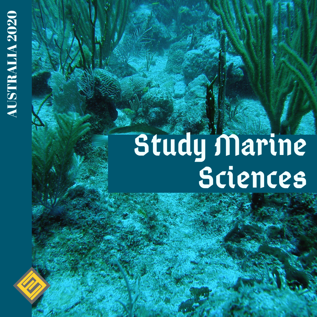 Marine Science Technology Sdn Bhd Noisvamh