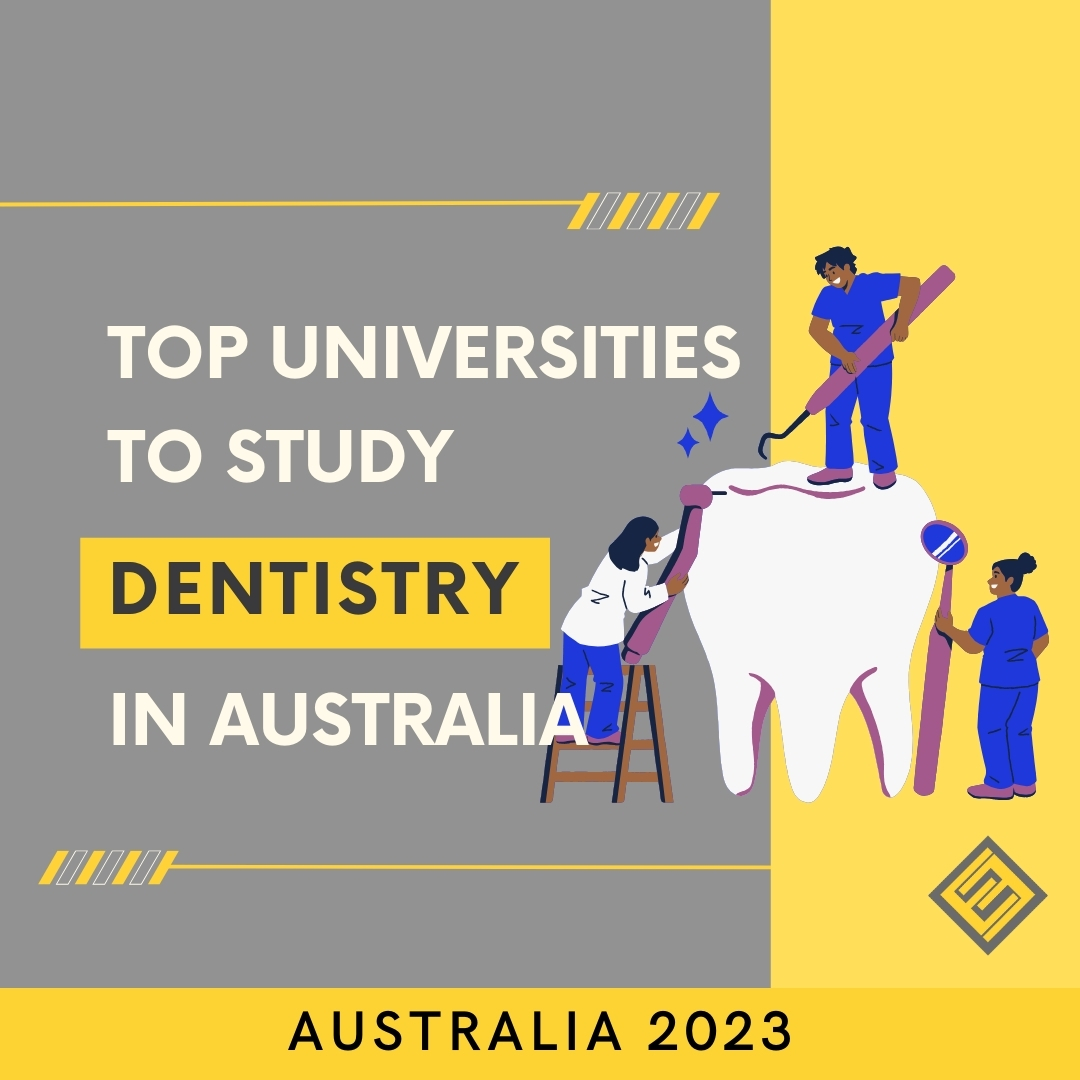 Top Universities to study Dentistry in Australia Excel Education