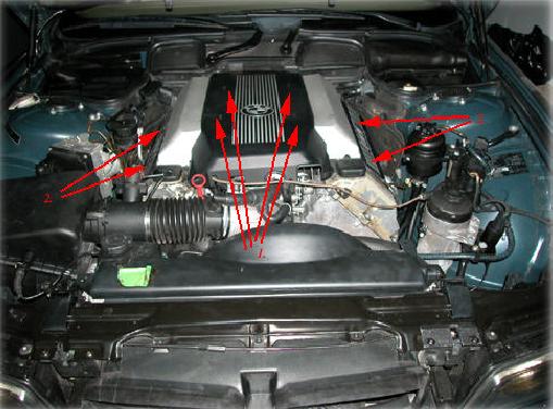 Commodity shopping platform 100% Authentic Shop the latest trends For