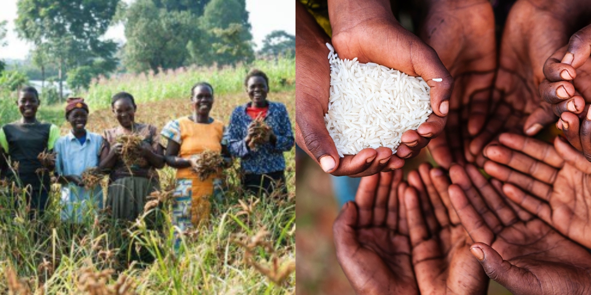 World Food Bank Leads Path to Zero Hunger Challenge Globally The East