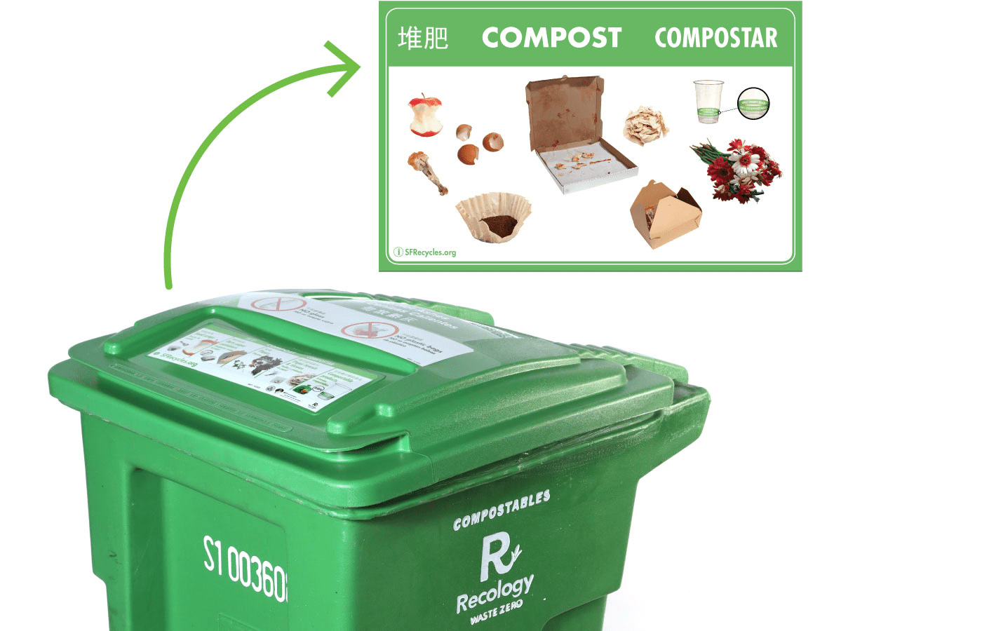 How To Compost In an Apartment Each Green Corner