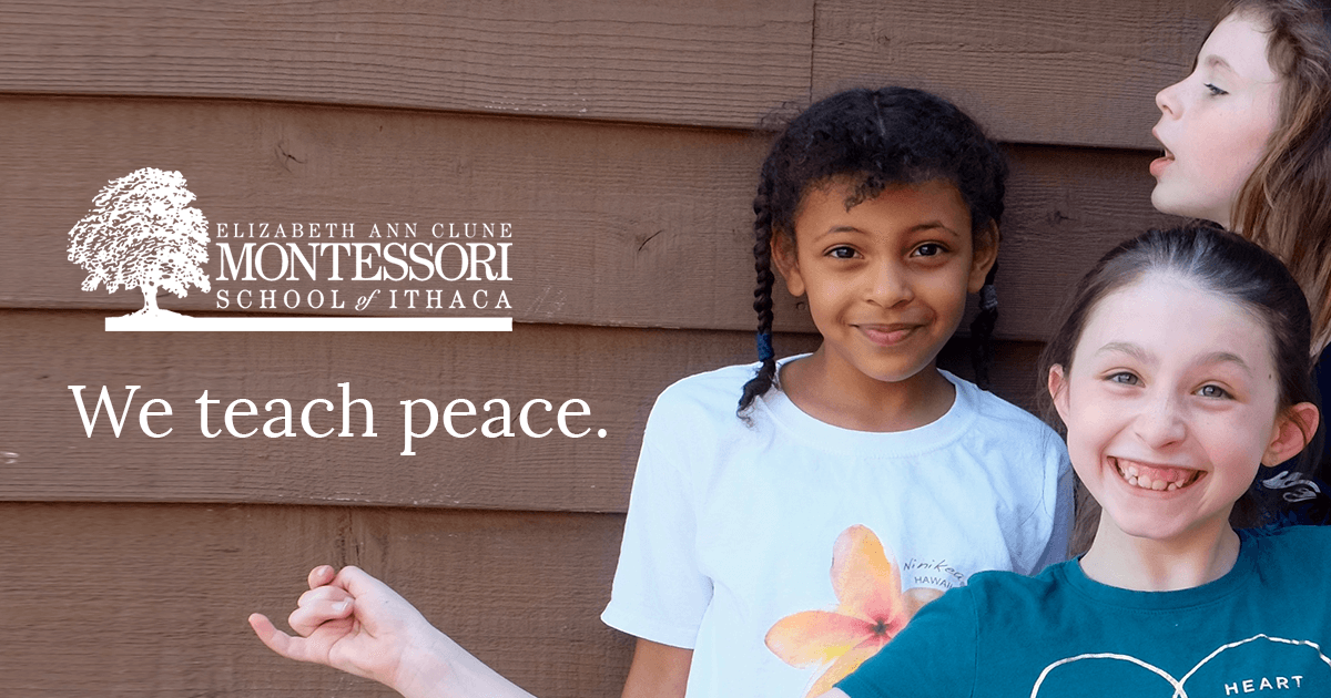 Montessori Academy Edison Lakes Supplies List 2023 Elizabeth Ann Clune Montessori School Of Ithaca