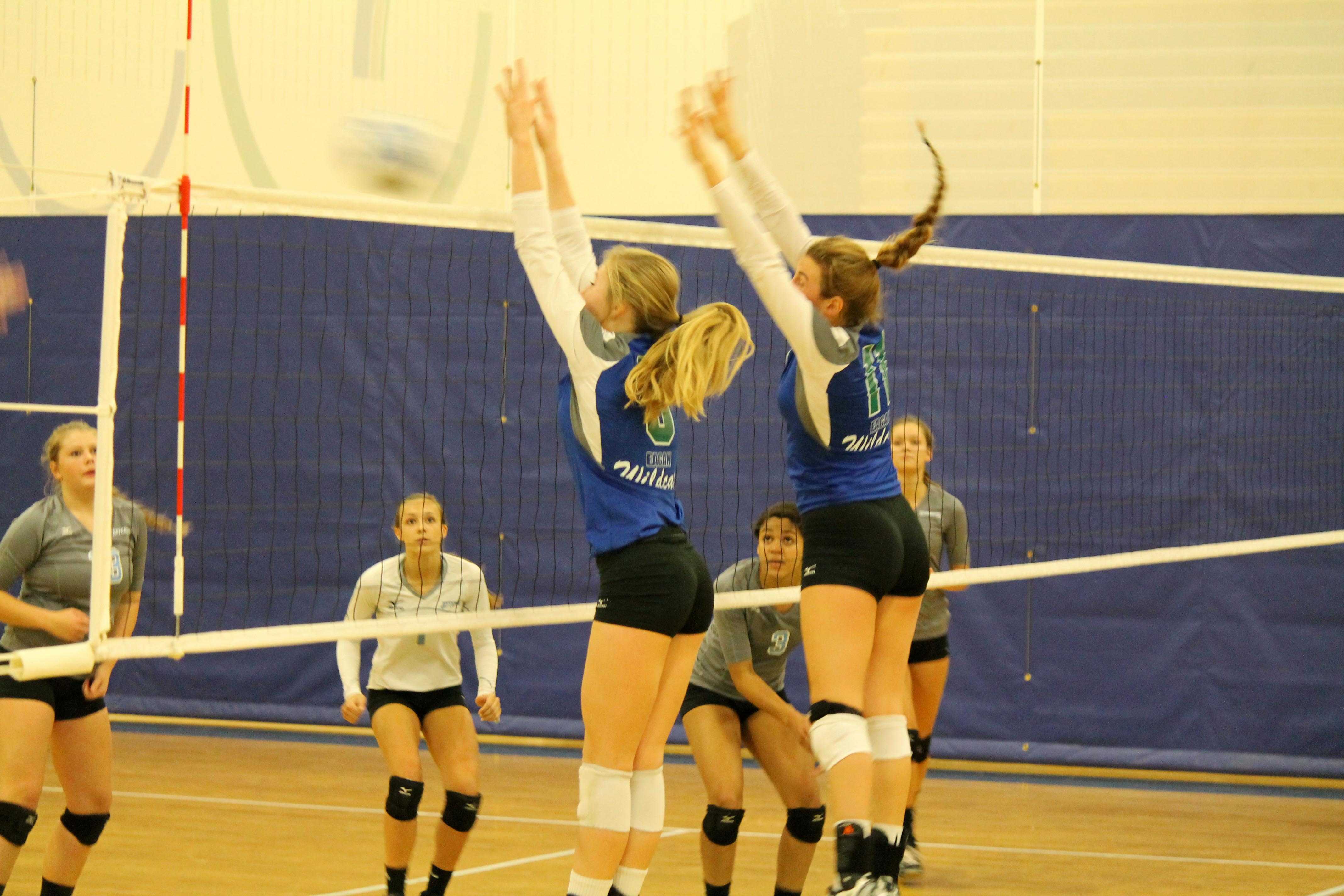 Eagan Volleyball Is In It Together Eagan Independent