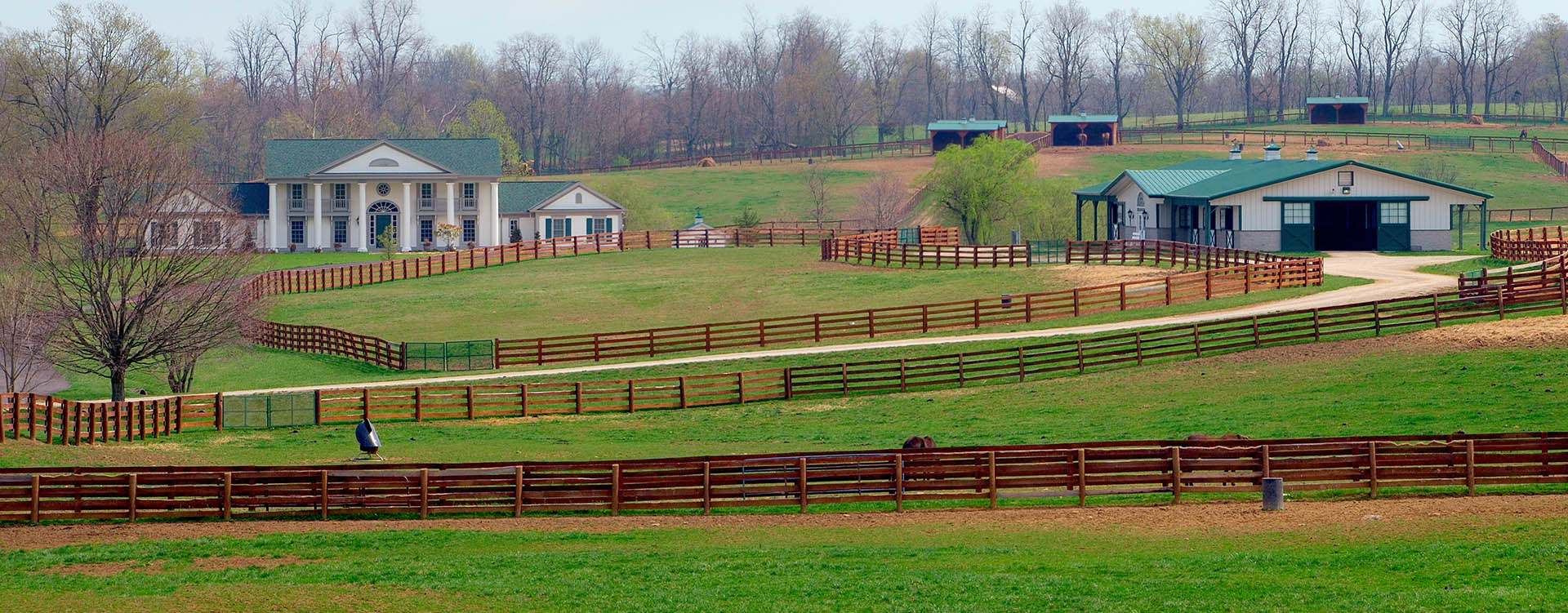 Randy Collins, Collins Realty, Inc.