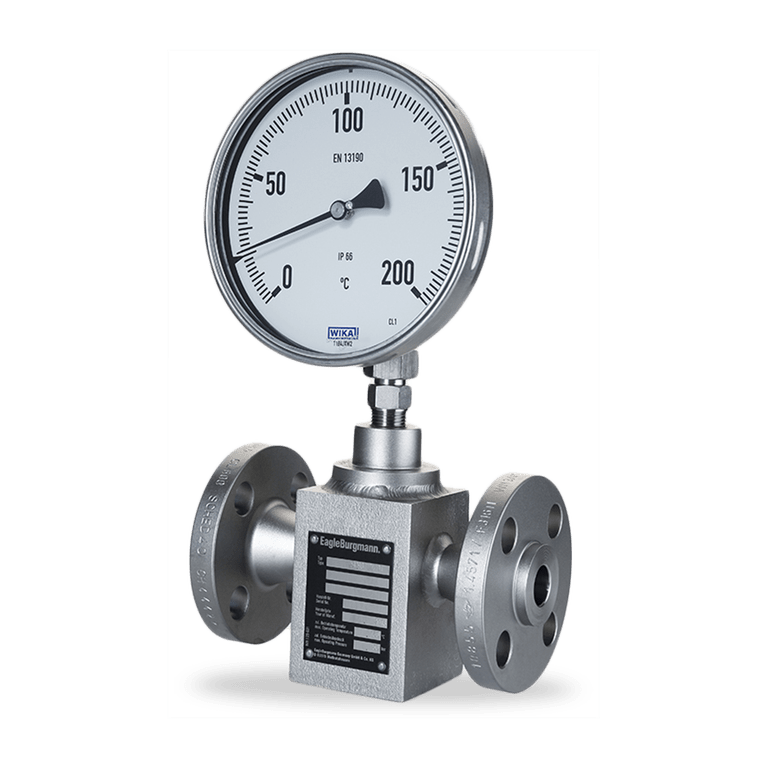 SPT6 Temperature indicator EN