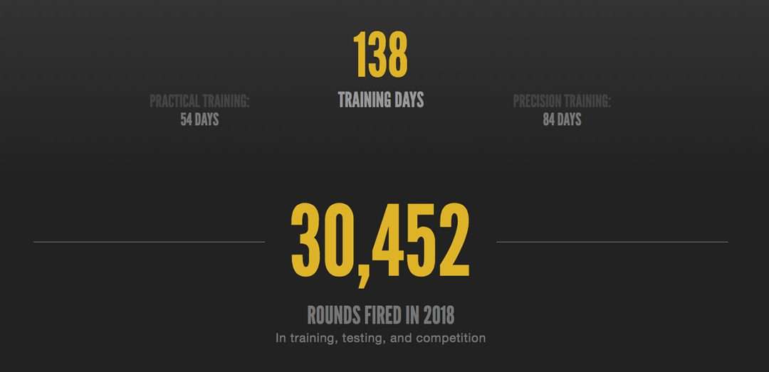 An Ordinary Citizen’s Training Year in Review and Plan Eagle Gun