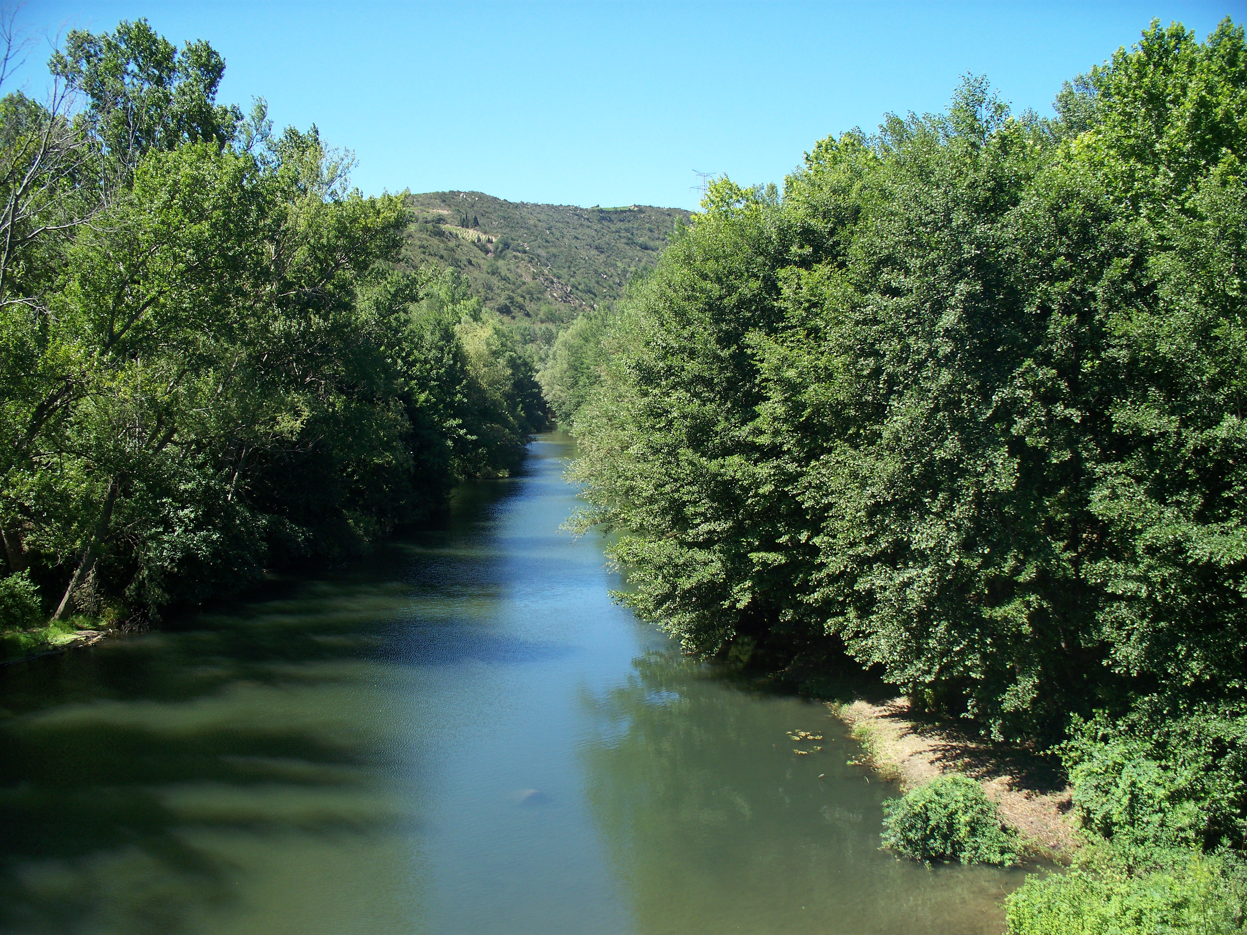 Early Learning Resources Tree Lined River Free Early Years and