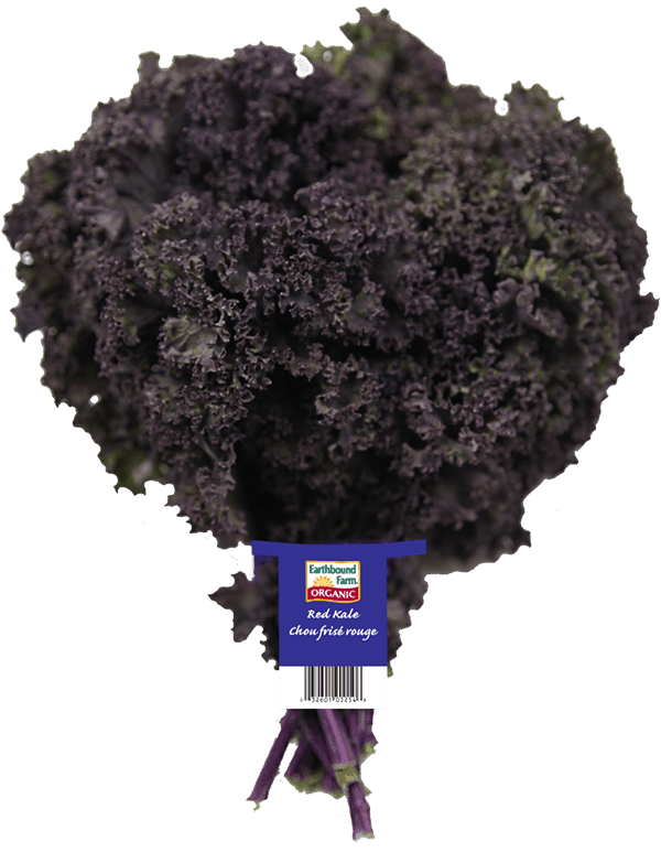 Fresh Organic Red Kale Earthbound Farm Organic Since 1984