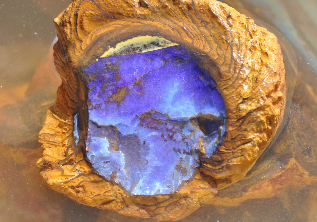 From data mining to opal mining EarthByte