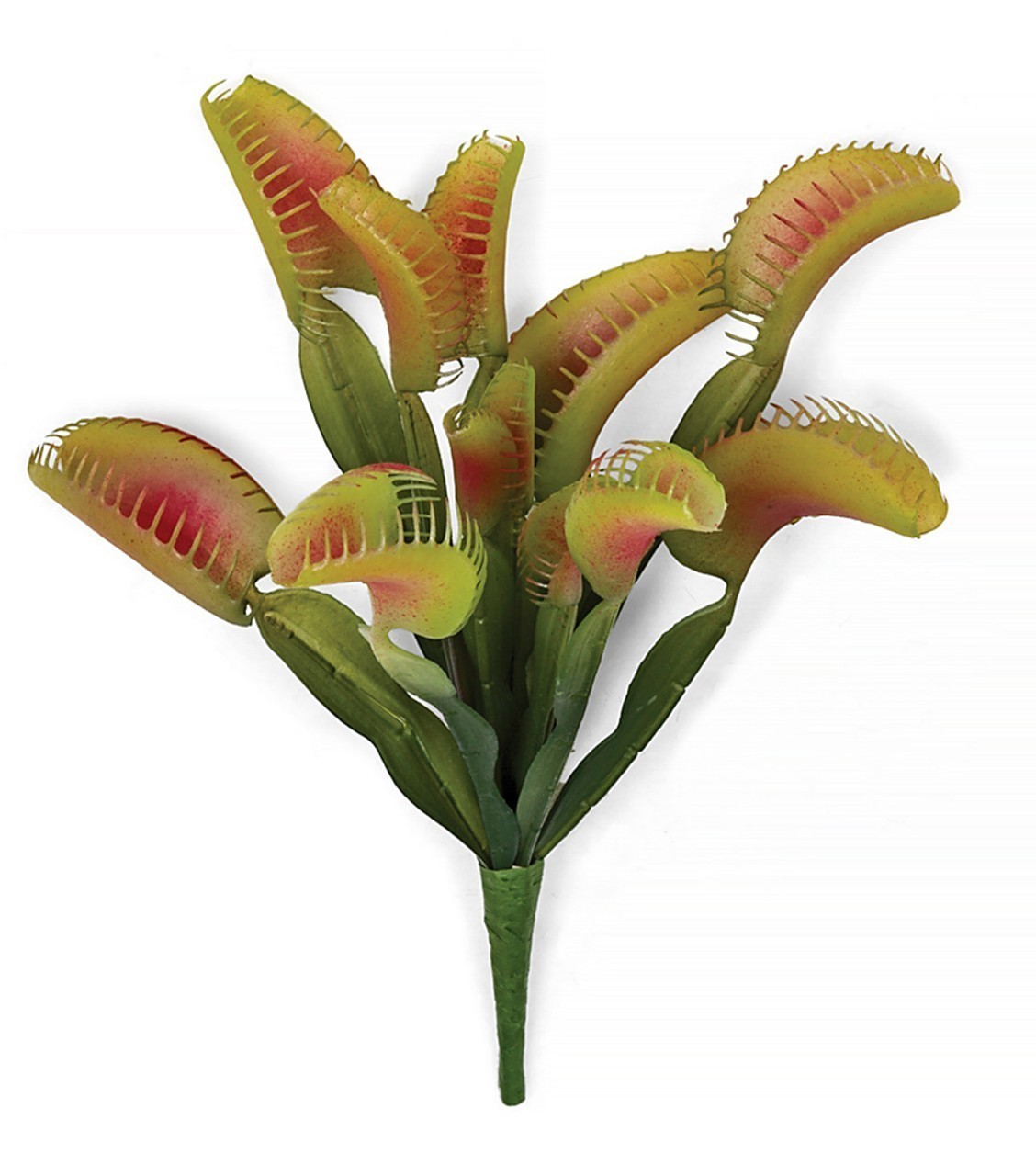 Earthflora > Natural Touch Life Like Cactus > 10 inches VENUS FLY TRAP