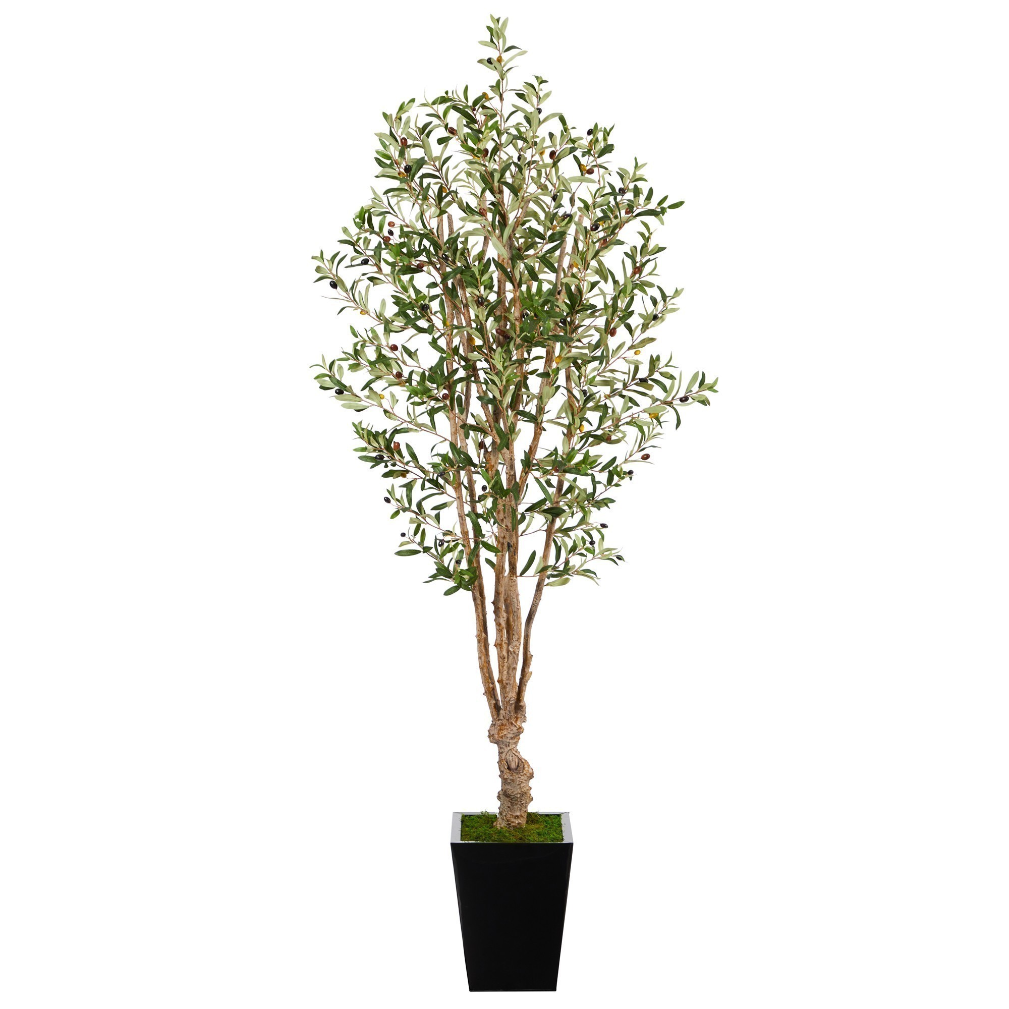 Earthflora > Euro Collection Olive & Fig Artificial Trees > 6.5’ Olive