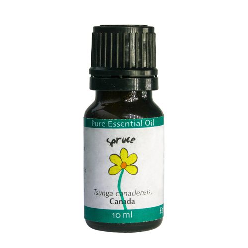 Aromatherapy Essential Oils of Spruce