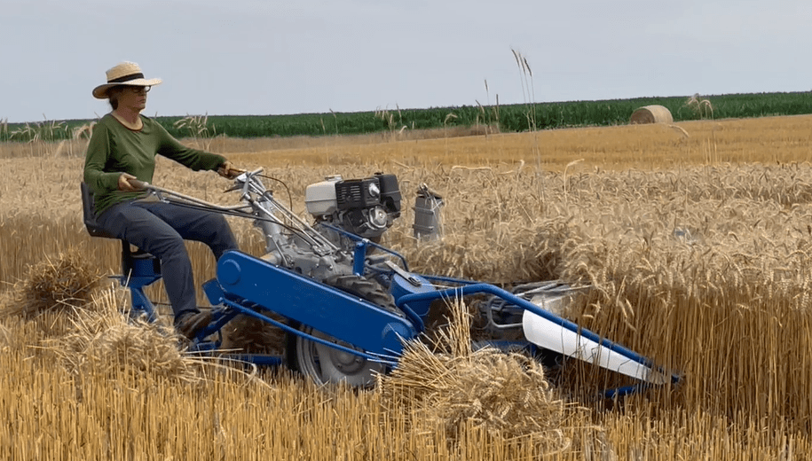 BCS 622 ReaperBinder Earth Tools