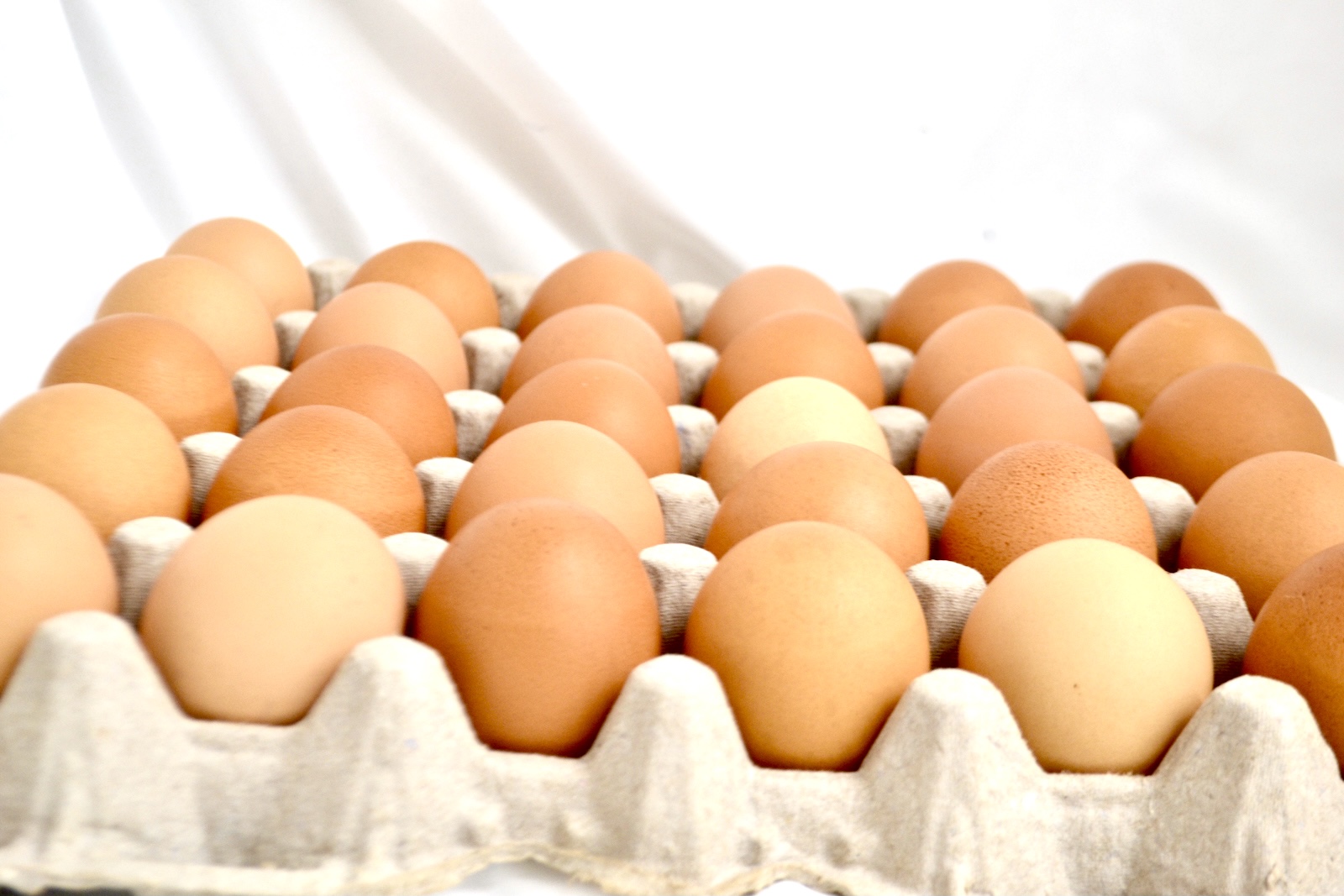 Eggs in Bulk .62 cents per Egg Earth Wise General Store