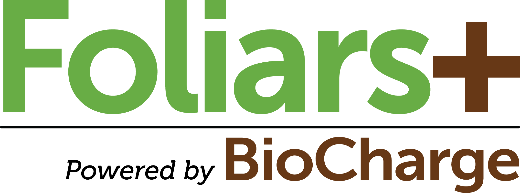 Analytical Reports EarthWorks