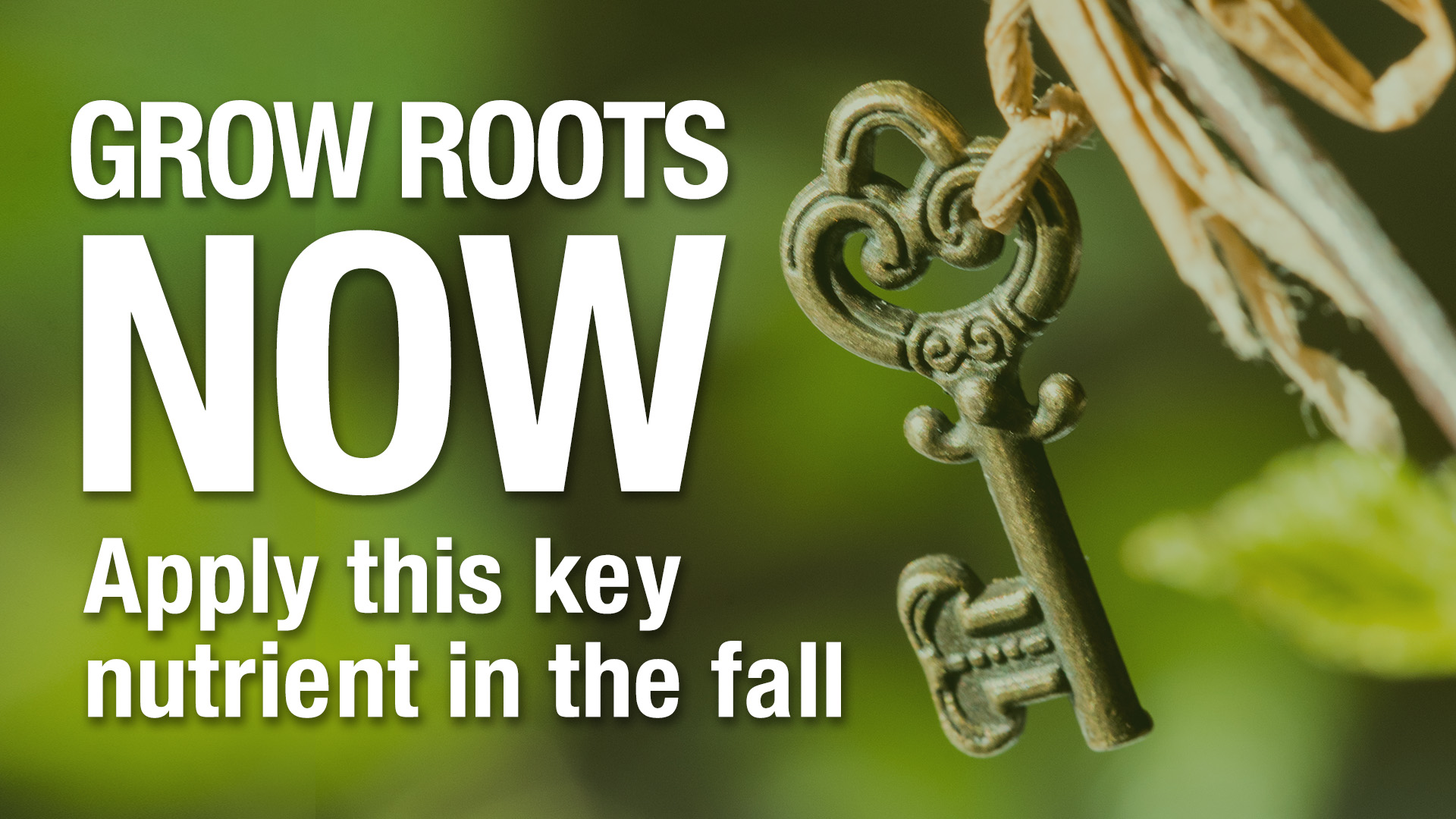 Grow Roots Now! Apply this key nutrient in the fall EarthWorks