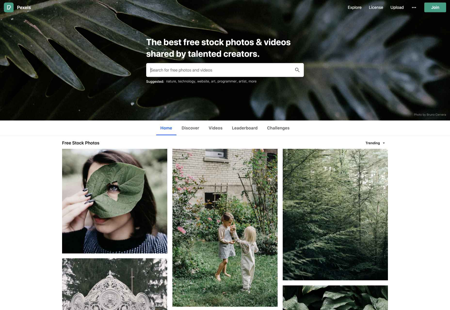 15 Best Free Stock Image sites EASEOUT