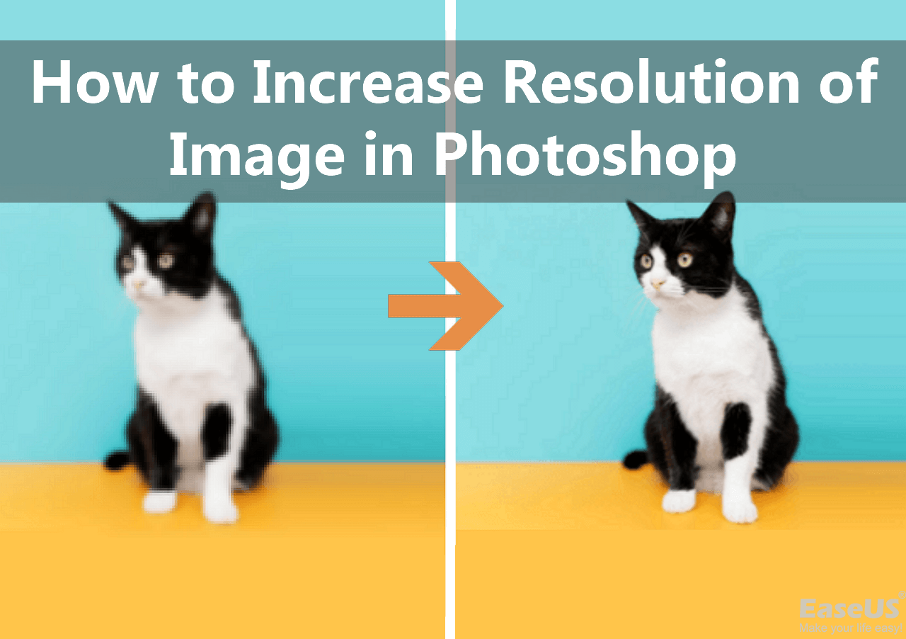 How to Increase Resolution of Image in (2024) EaseUS
