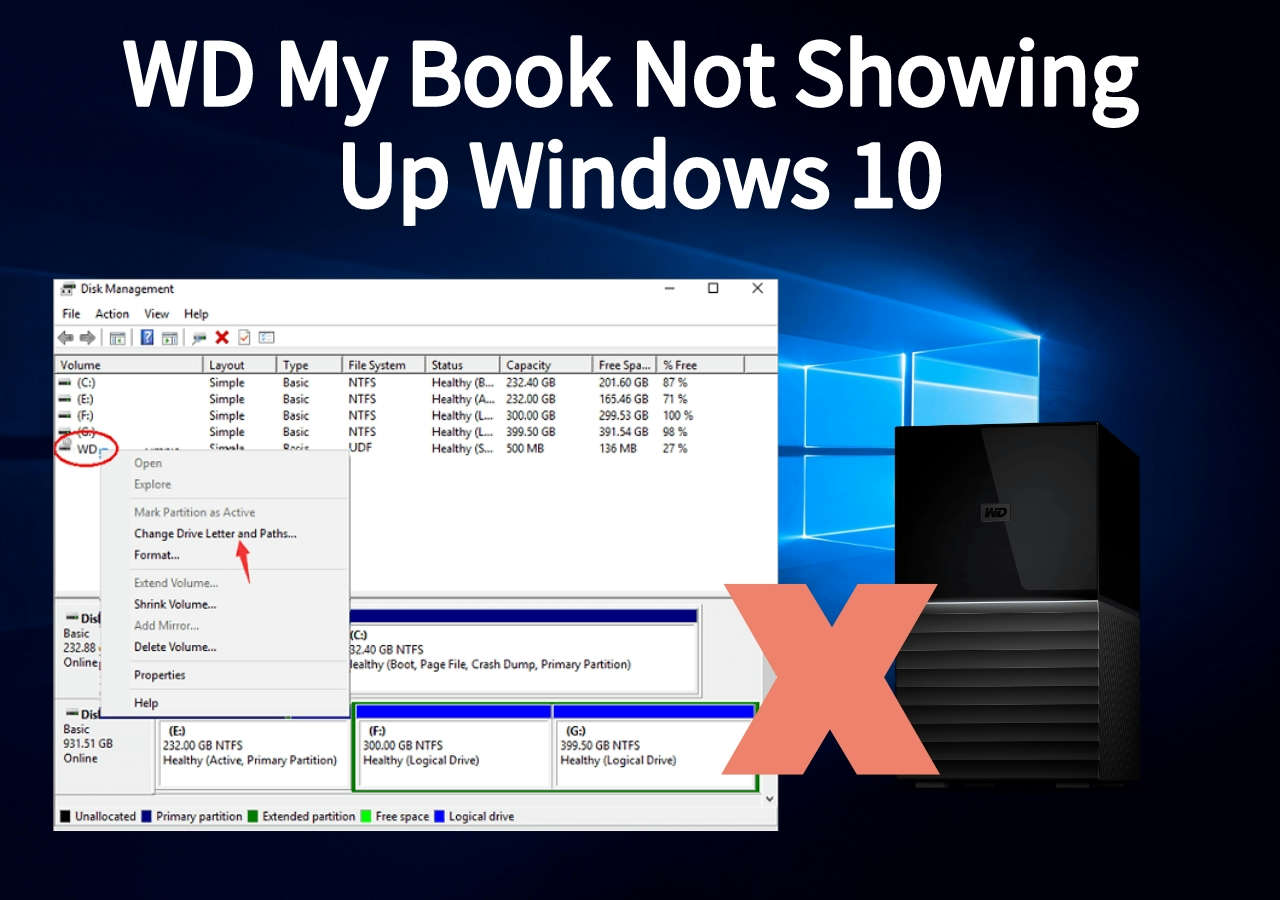 WD My Book Not Showing Up Windows 10 6 Solutions