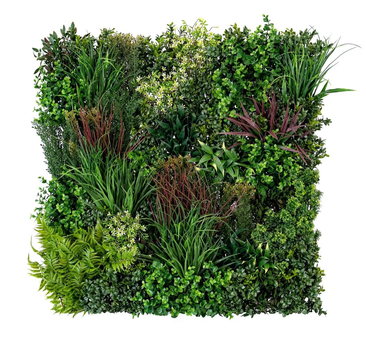 Artificial Green Wall Installation Easigrass Garden Services