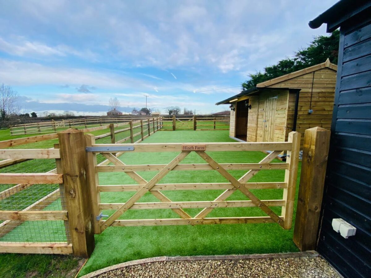 Can Artificial Grass Go Next to Real Grass? Easigrass™