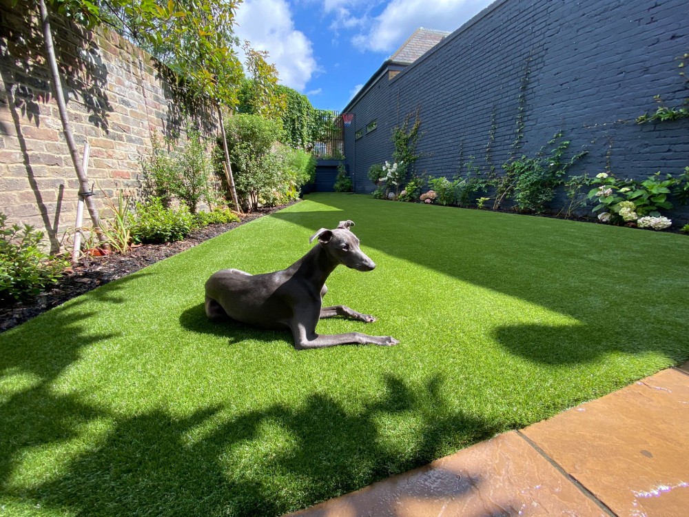 Pet Friendly Artificial Grass Easigrass™
