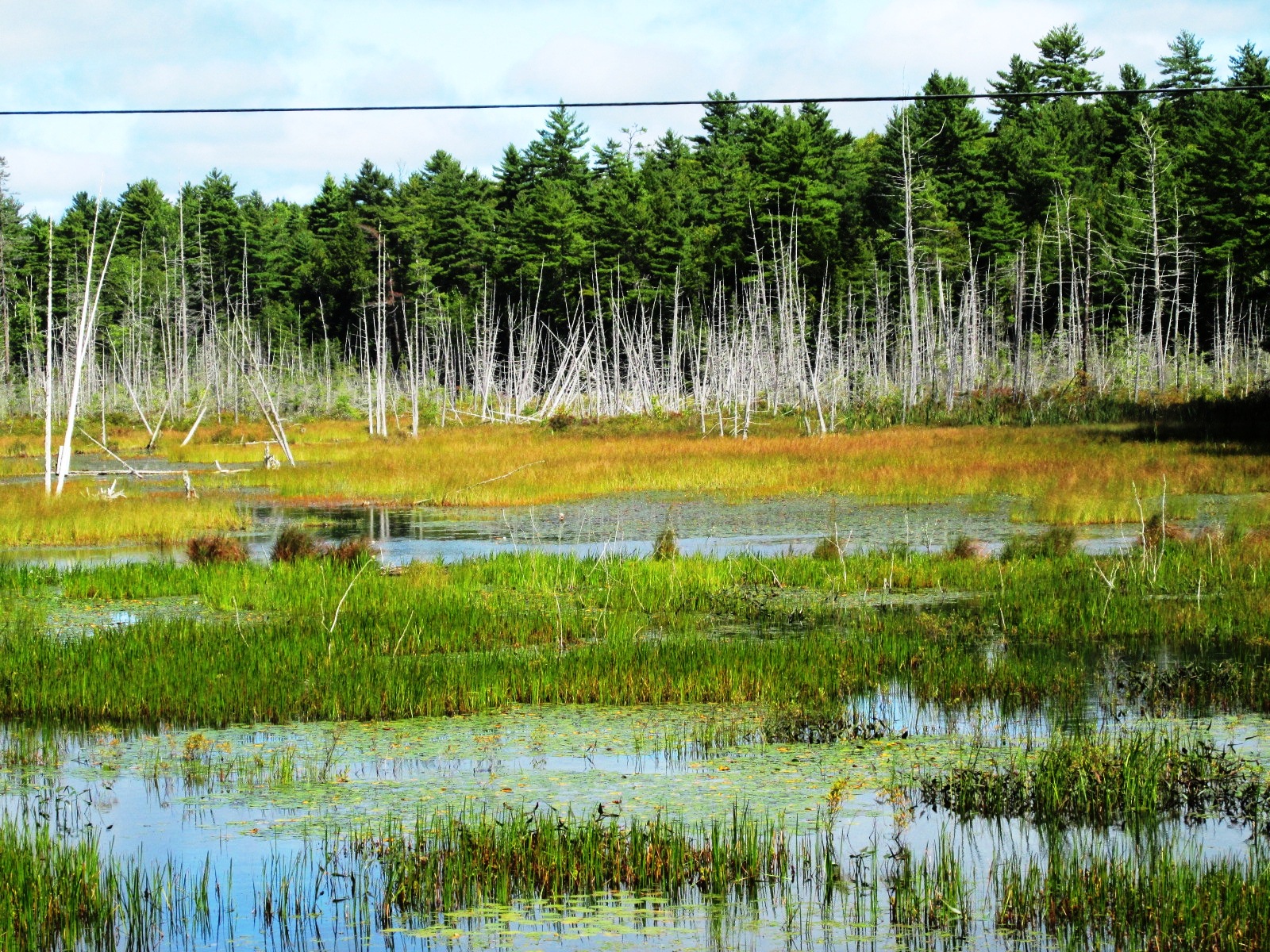 Picture Gallery Kennebunk and Great Pond, Maine Easing Along