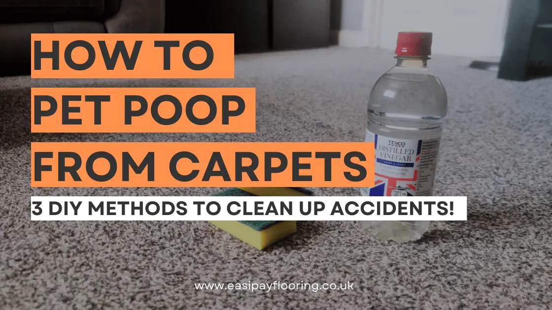 How To Clean Pet Poop From Carpets