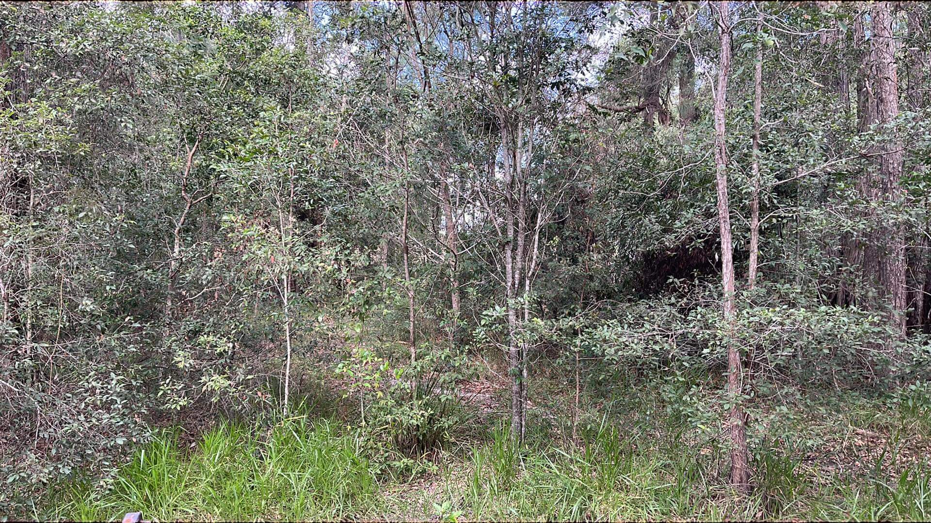 First Hand Truth On How Much It Cost To Clear Land Easily