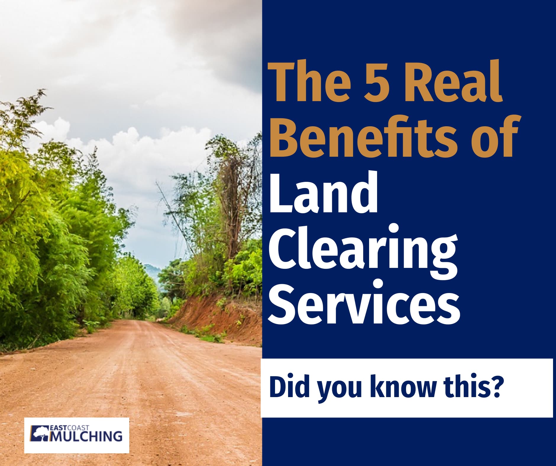 5 Benefits Of Land Clearing Services East Coast Mulching