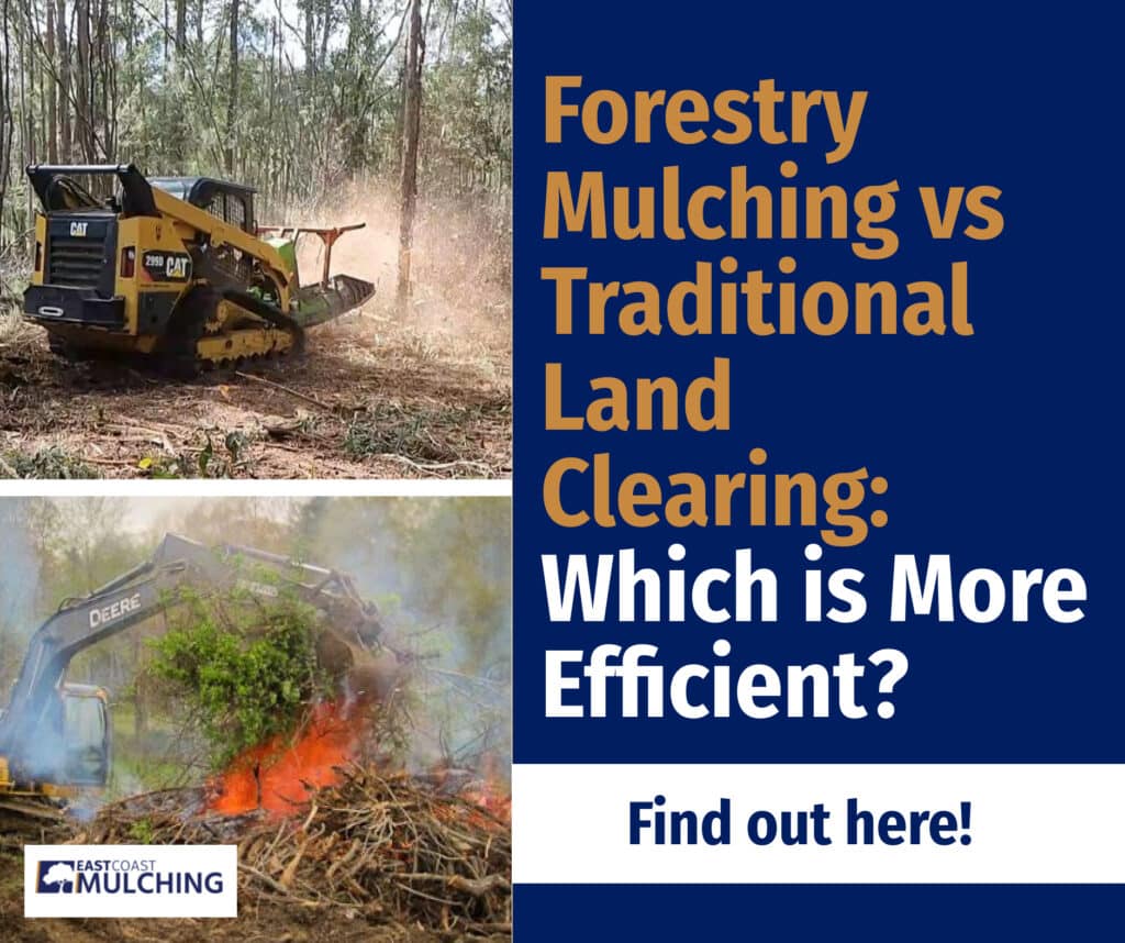 Forestry Mulching Vs Traditional Land Clearing (2024 Guide)