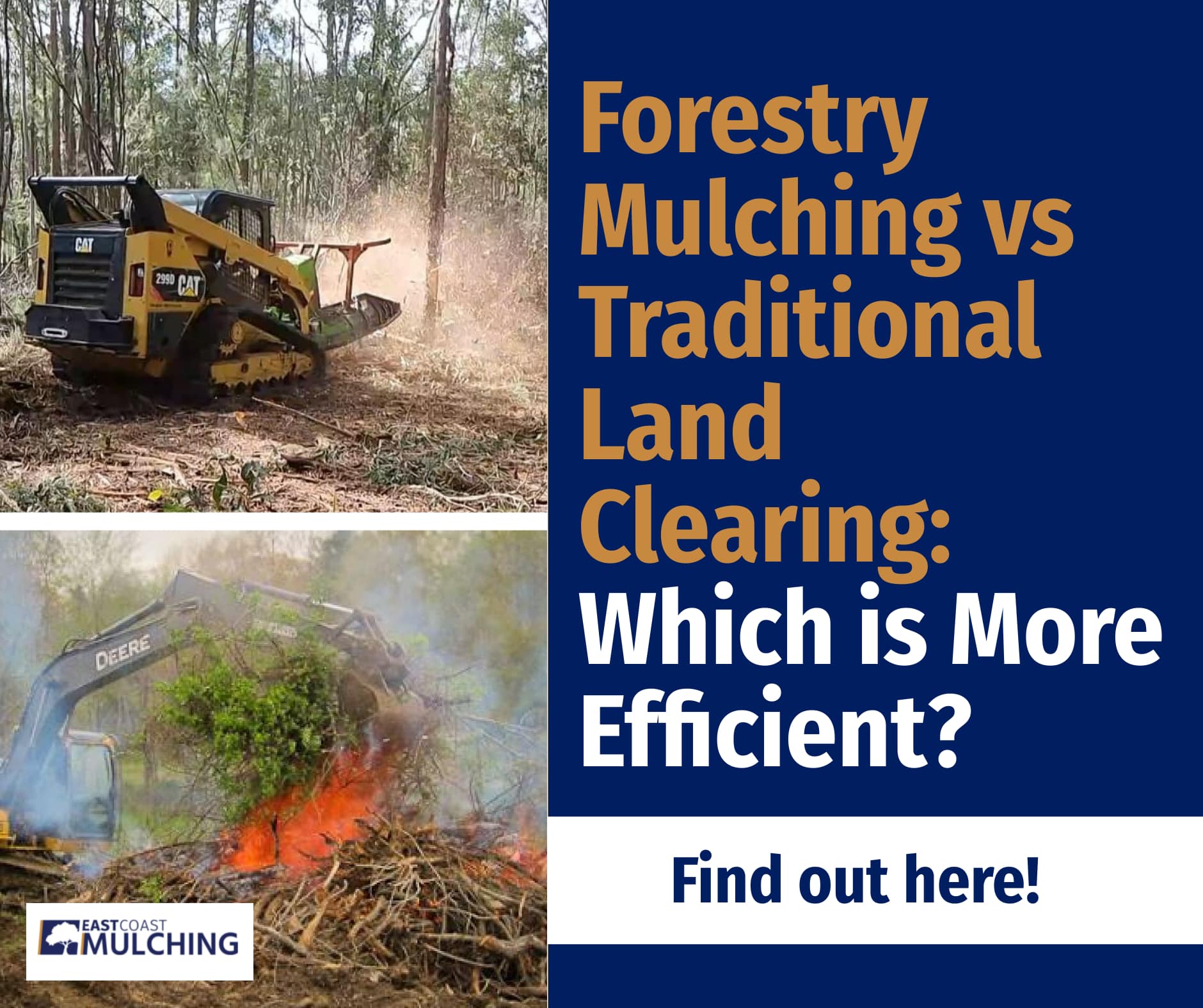 Forestry Mulching Vs Traditional Land Clearing (2024 Guide)