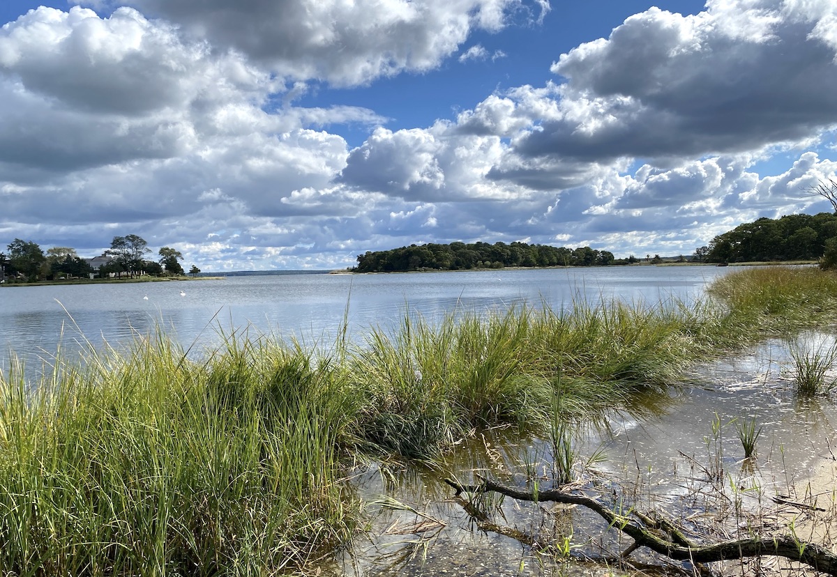 Historic Aquebogue Duck Farm Preserved East End Beacon