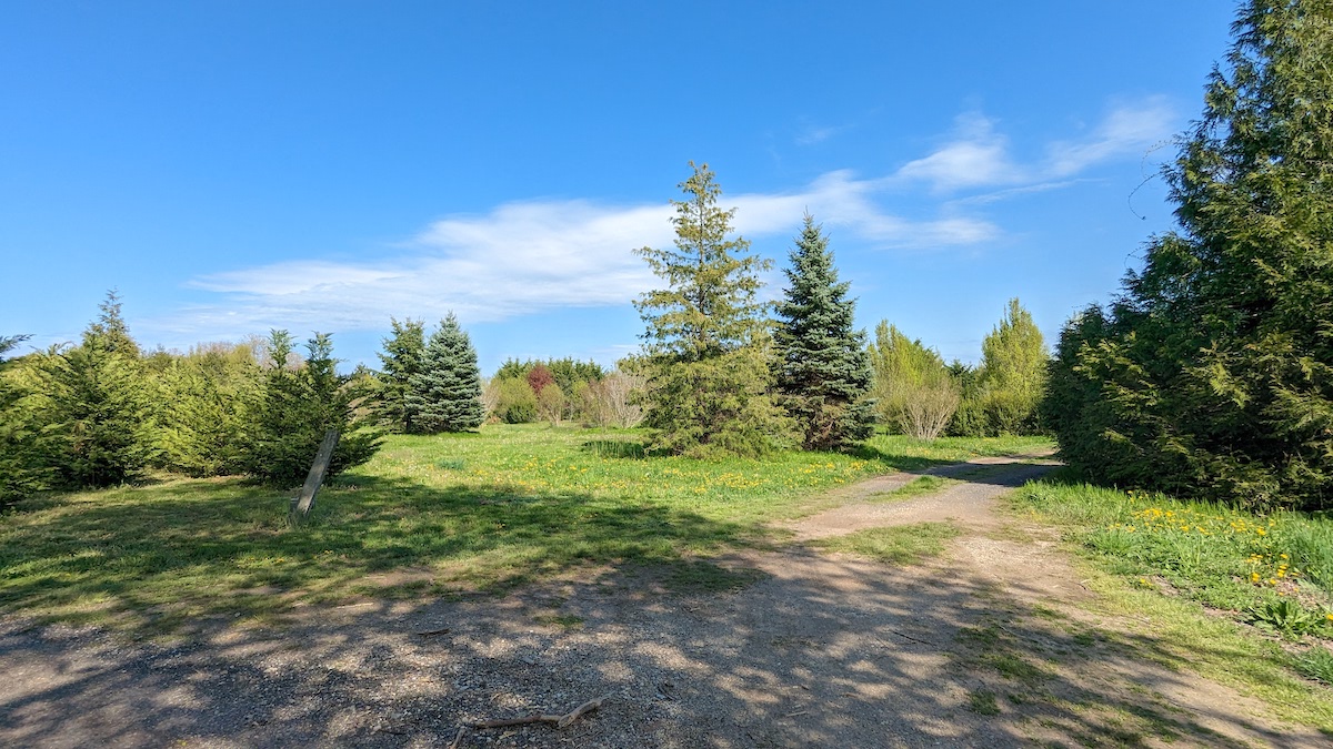 Southold Accepts OwnershipBased Carroll Avenue Housing Proposal East End Beacon