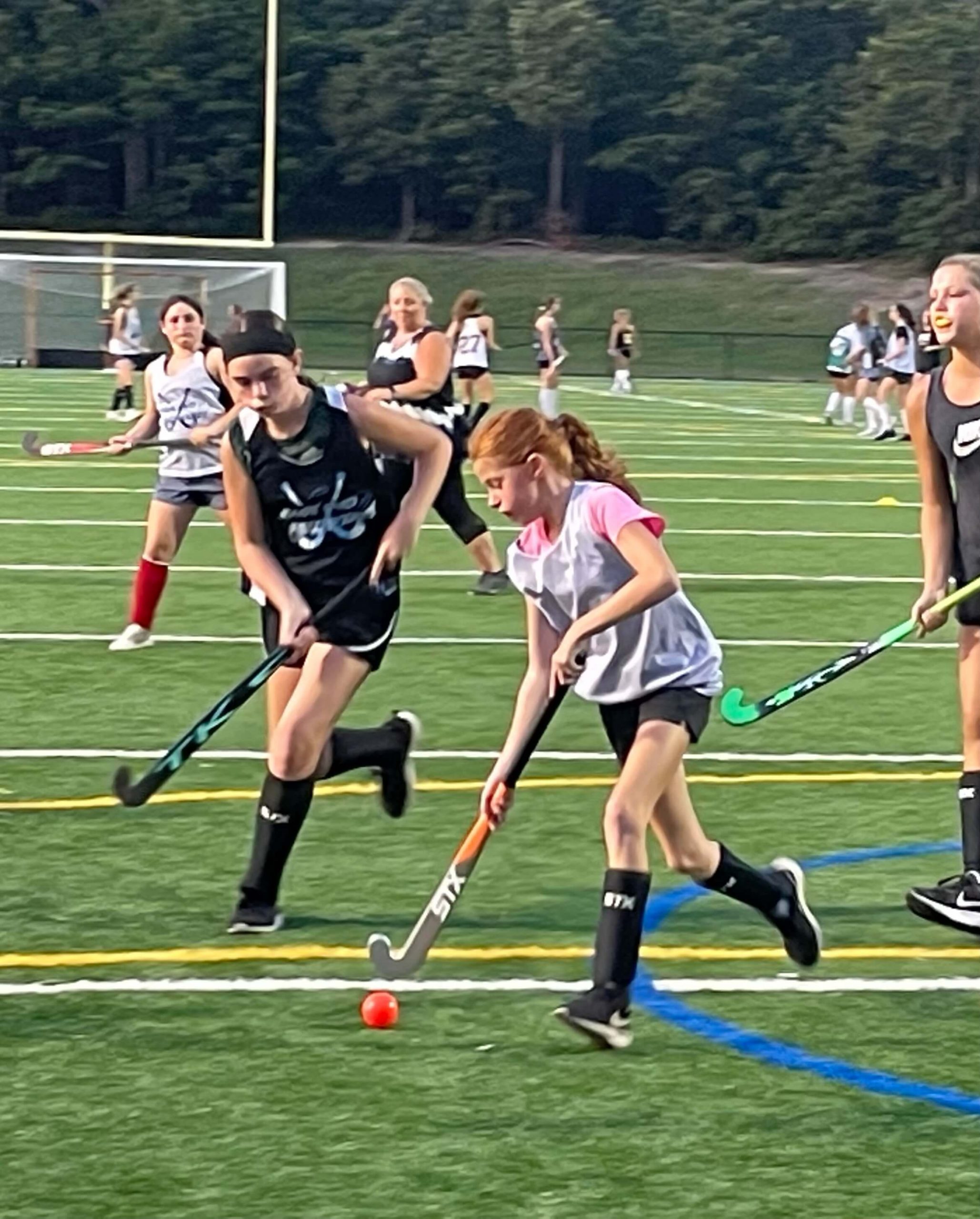East End Field Hockey Miller Place, New York Indoor Hockey