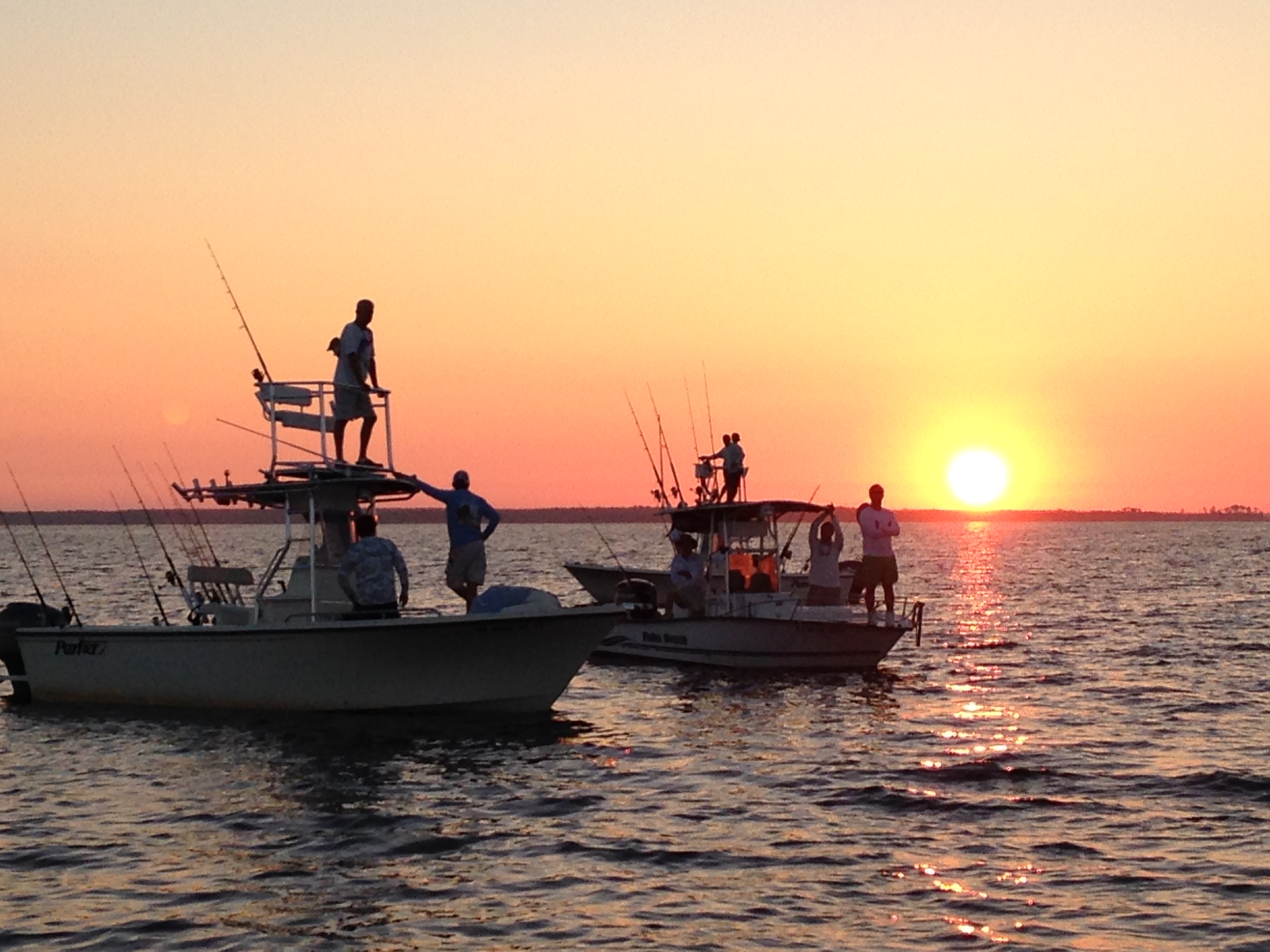 Pamlico Light Tarpon Tournament Eastern NC Fishing Guide